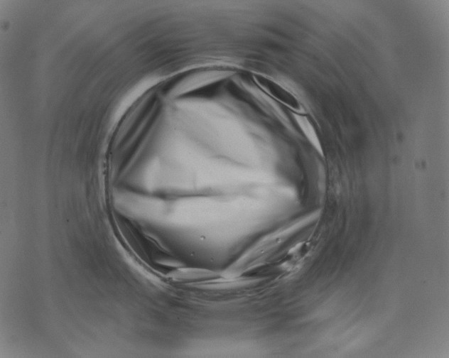 X0000074211151200609081525