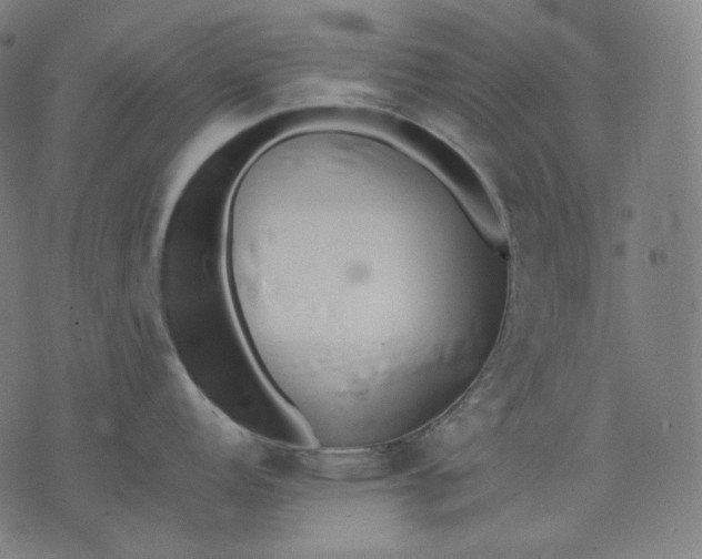 X0000074211152200609081525