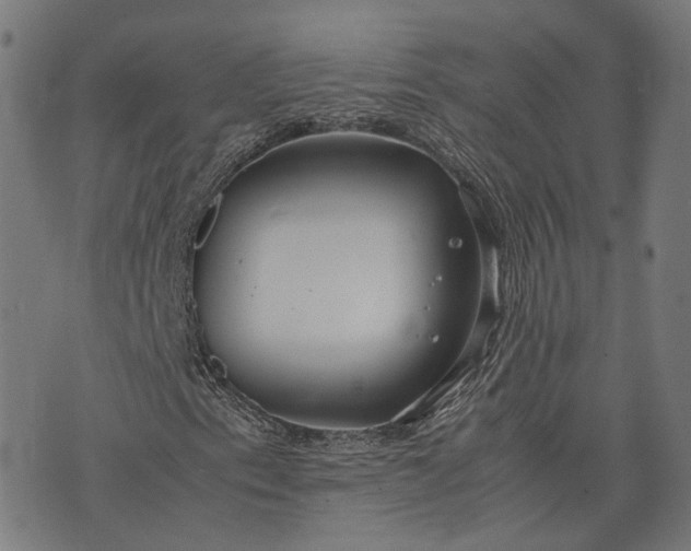 X0000074211153200609081524