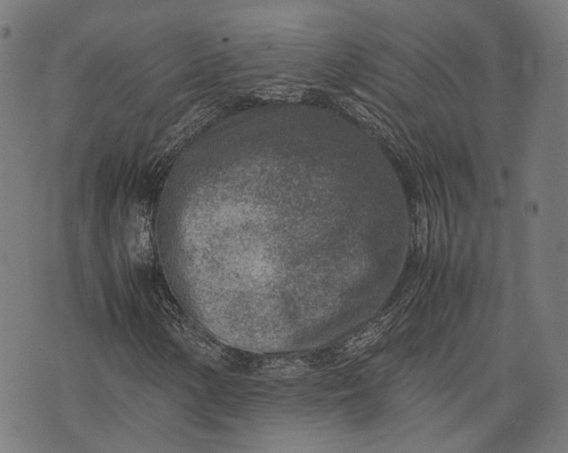 X0000074211154200609081524