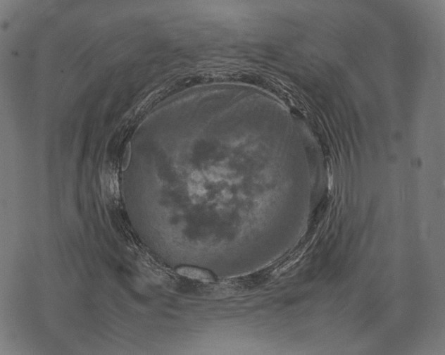 X0000074211155200609081524