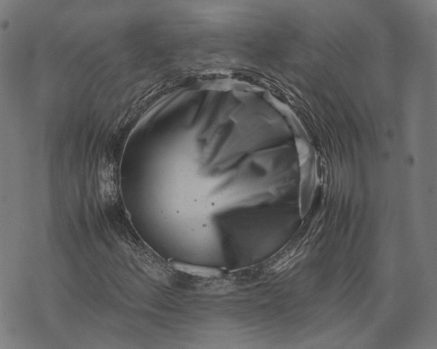 X0000074211156200609081524