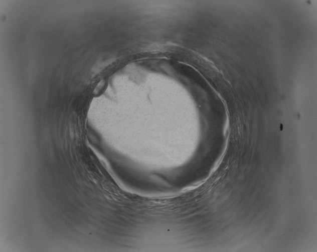 X0000074211158200609081524