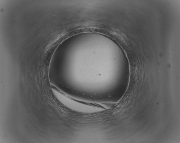 X0000074211159200609081524