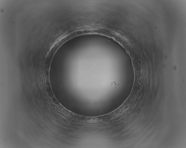 X0000074211160200609081524