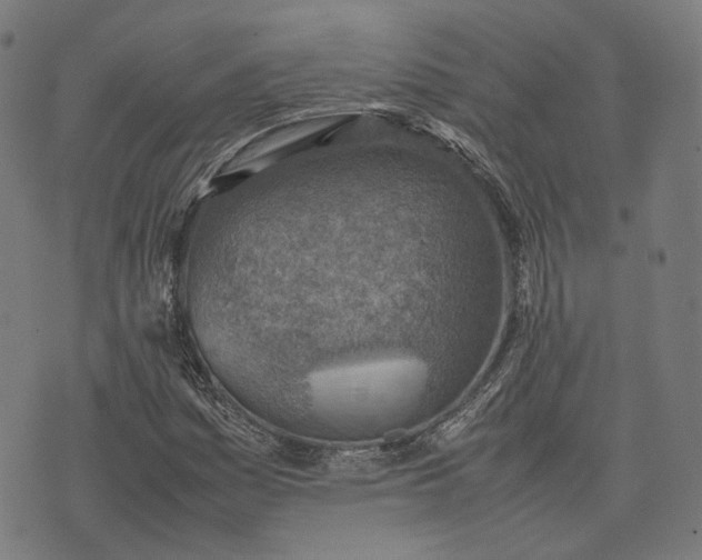 X0000074211161200609081524