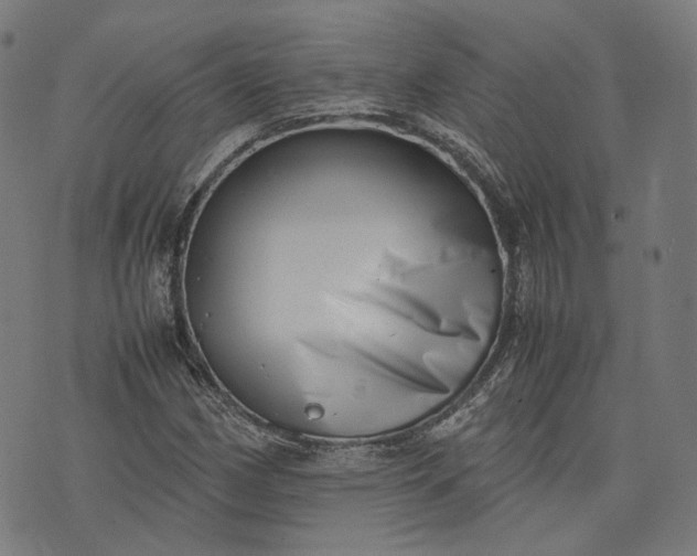 X0000074211162200609081524