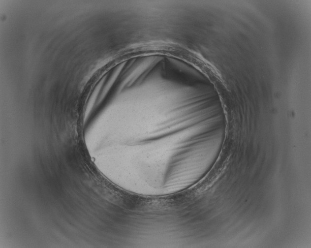 X0000074211166200609081524