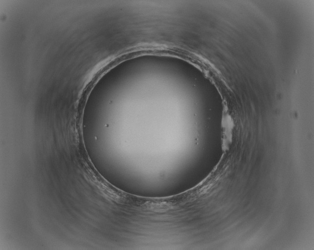 X0000074211168200609081524