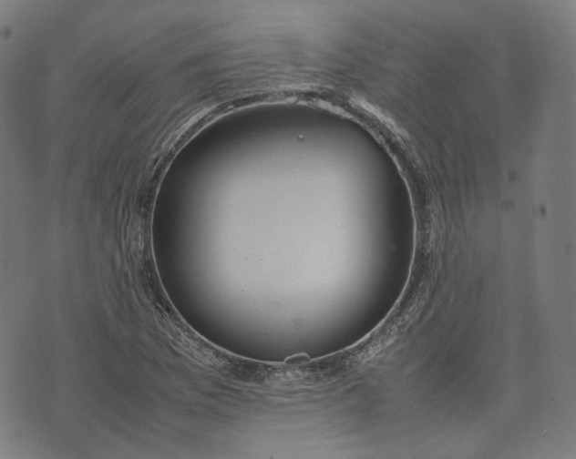 X0000074211169200609081523