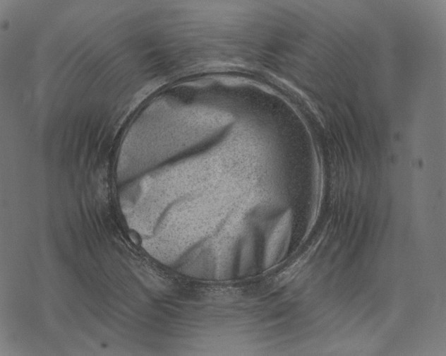 X0000074211170200609081523