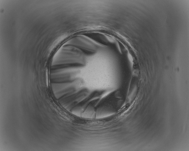 X0000074211171200609081523