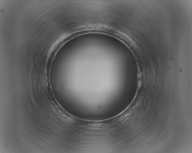 X0000074211172200609081523