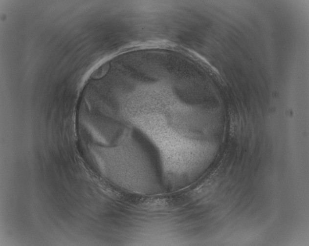 X0000074211174200609081523