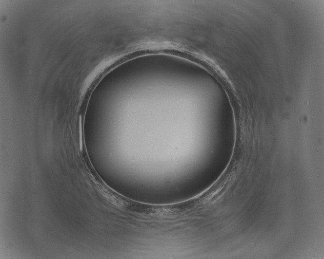 X0000074211175200609081523