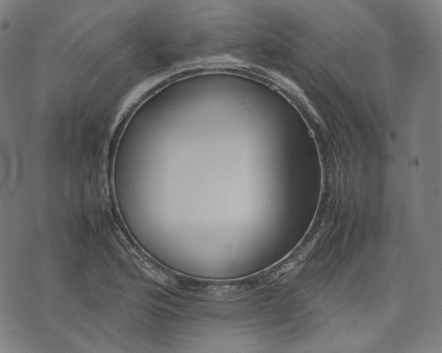 X0000074211176200609081523