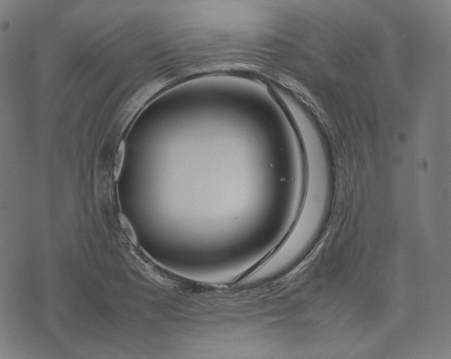 X0000074211177200609081523