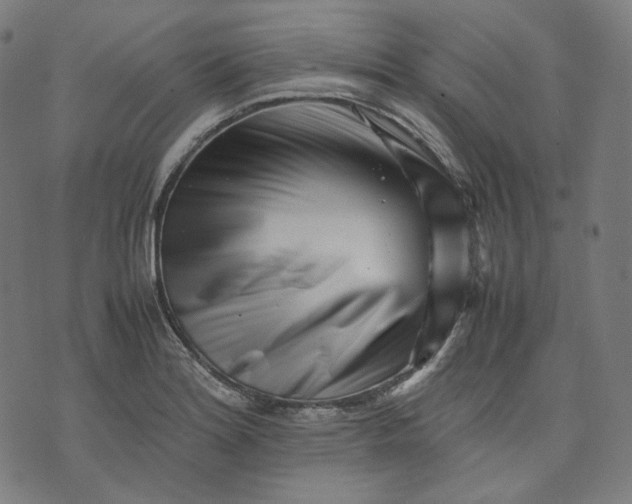 X0000074211180200609081523