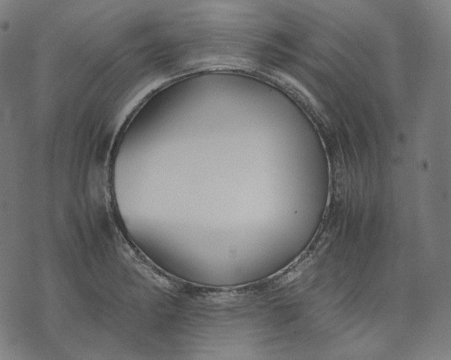 X0000074211182200609081523