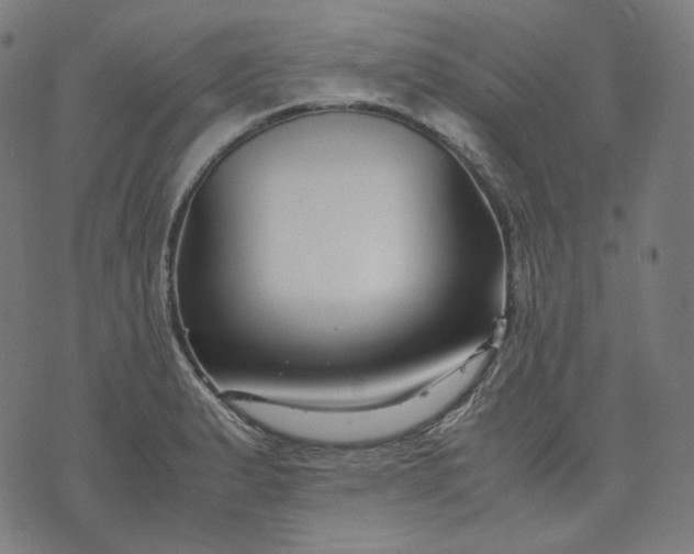 X0000074211183200609081523