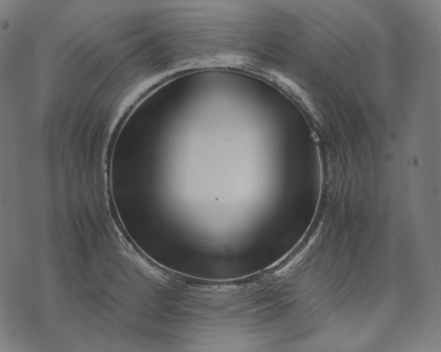 X0000074211184200609081523