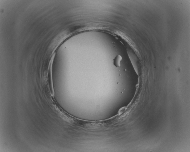 X0000074211185200609081523