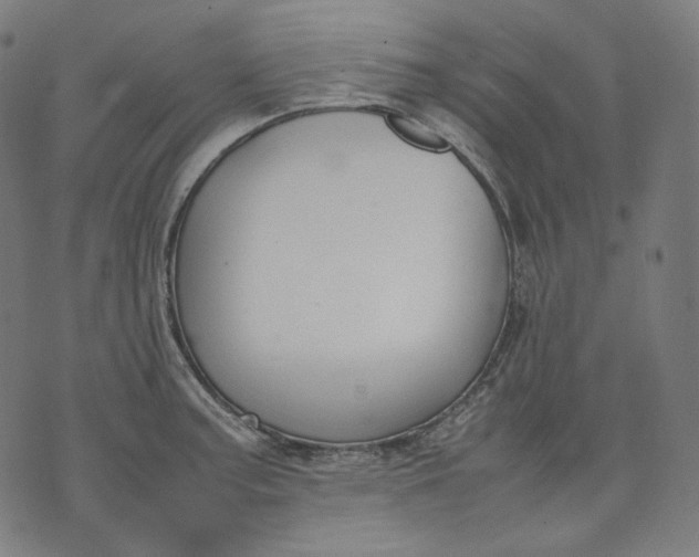 X0000074211187200609081523