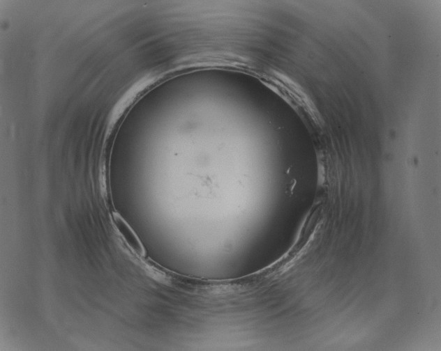 X0000074211188200609081523