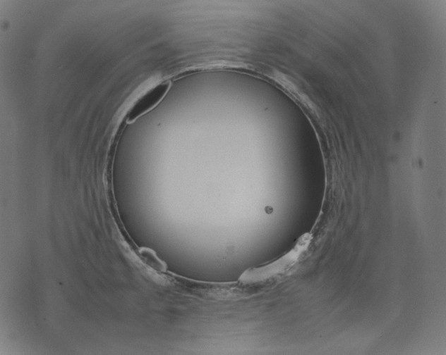 X0000074211189200609081523