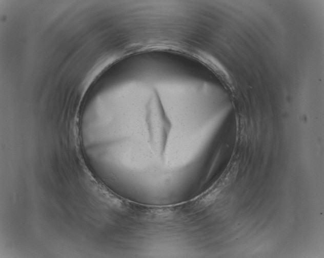 X0000074211190200609081523