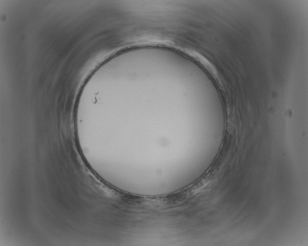 X0000074211191200609081523