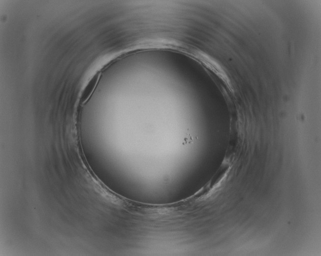 X0000074211192200609081523