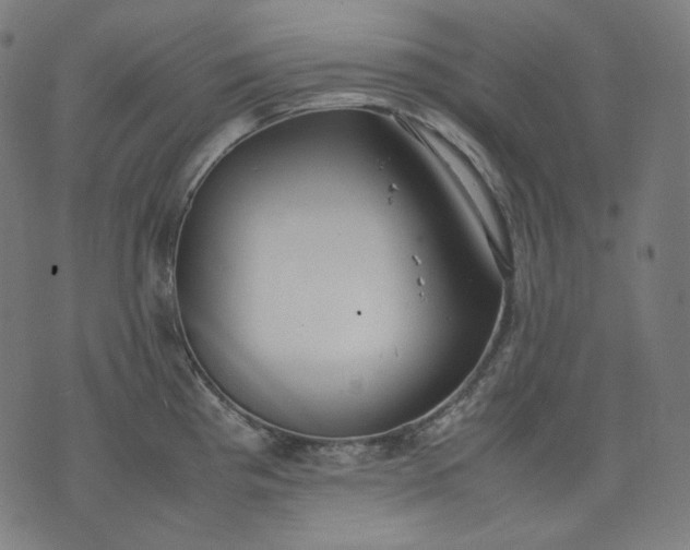 X0000074211193200609081523