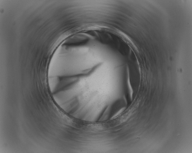 X0000074211194200609081523