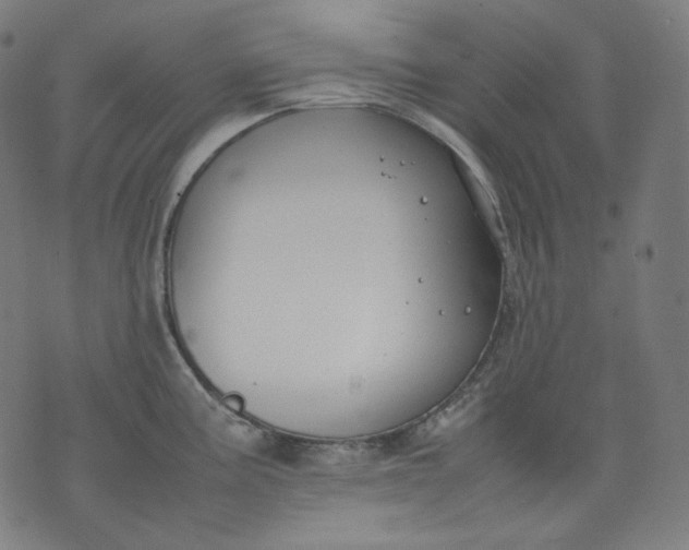 X0000074211195200609081523