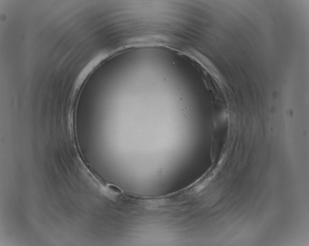 X0000074211196200609081523