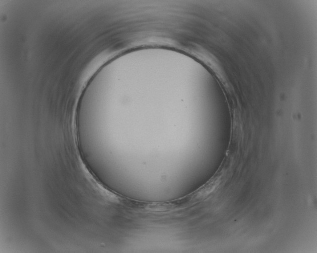 X0000074211199200609081523