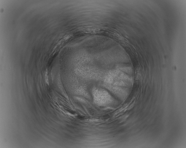 X0000074211202200609081522