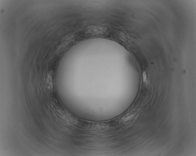 X0000074211203200609081522