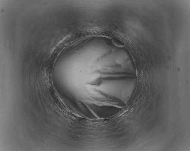 X0000074211205200609081522