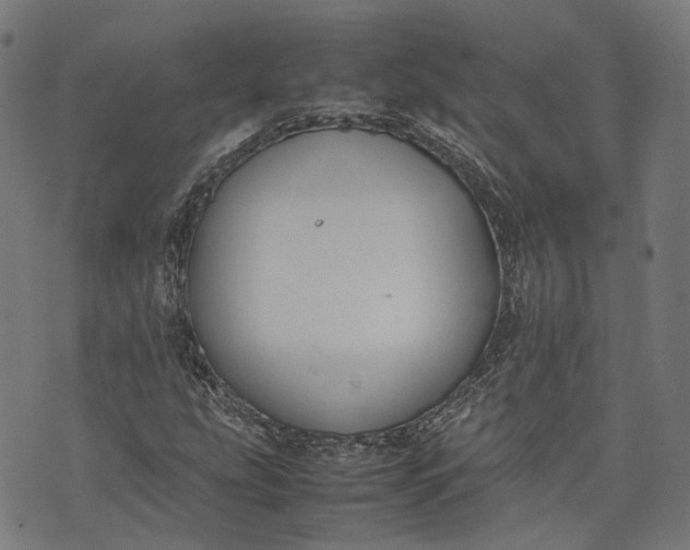 X0000074211207200609081522