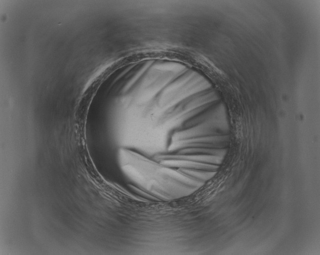 X0000074211208200609081522