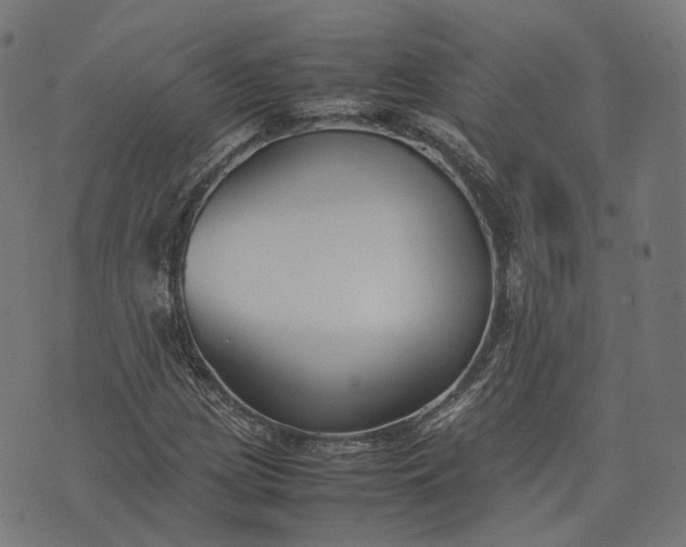 X0000074211209200609081522