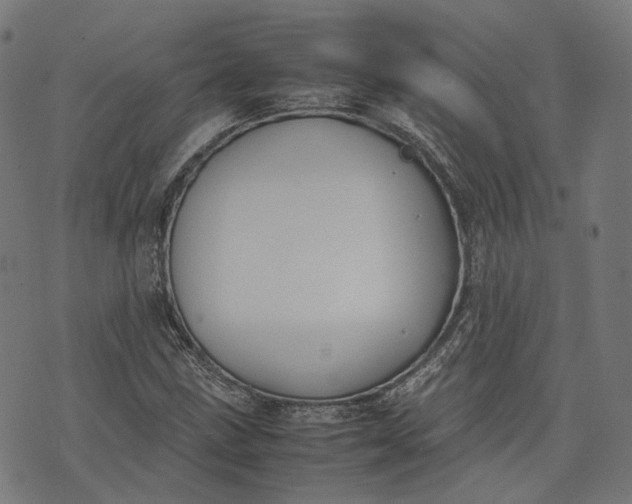 X0000074211211200609081522