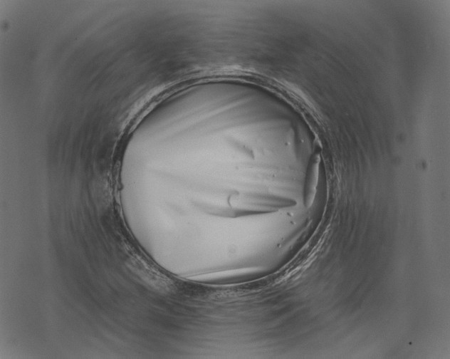 X0000074211212200609081522