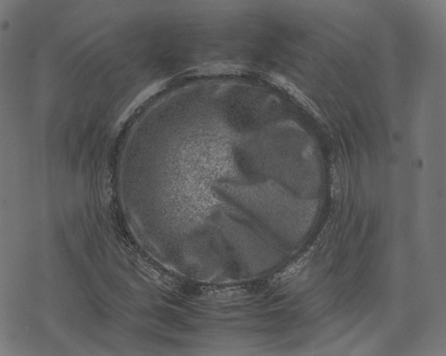 X0000074211213200609081522