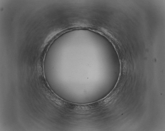 X0000074211215200609081522