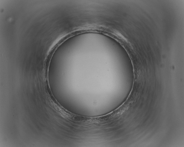 X0000074211216200609081522