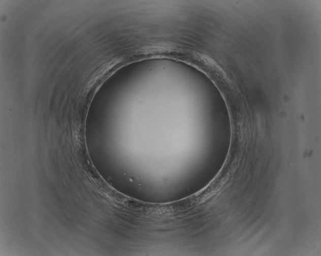 X0000074211217200609081522