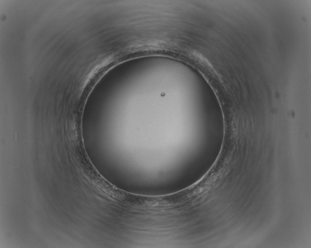 X0000074211218200609081522